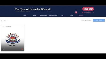 How to Use the Shared Gallery on Wix