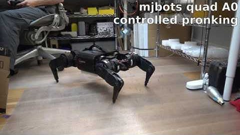 First controlled pronking with quad A0