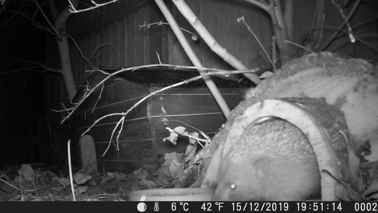 Hattie coming out of her old house.