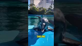 Dolphins aren't as friendly as you think... 😳 #shorts #dolphin #facts