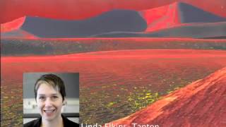 Could Siberian volcanism have caused the Earths largest extinction event