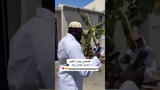 الكحلي ام العيد #السعودية #shorts