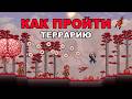 Как Впервые Пройти Террарию? Гайд по Прохождению