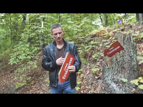 Как россияне спасают городские леса от застройки?