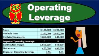 Operating Leverage