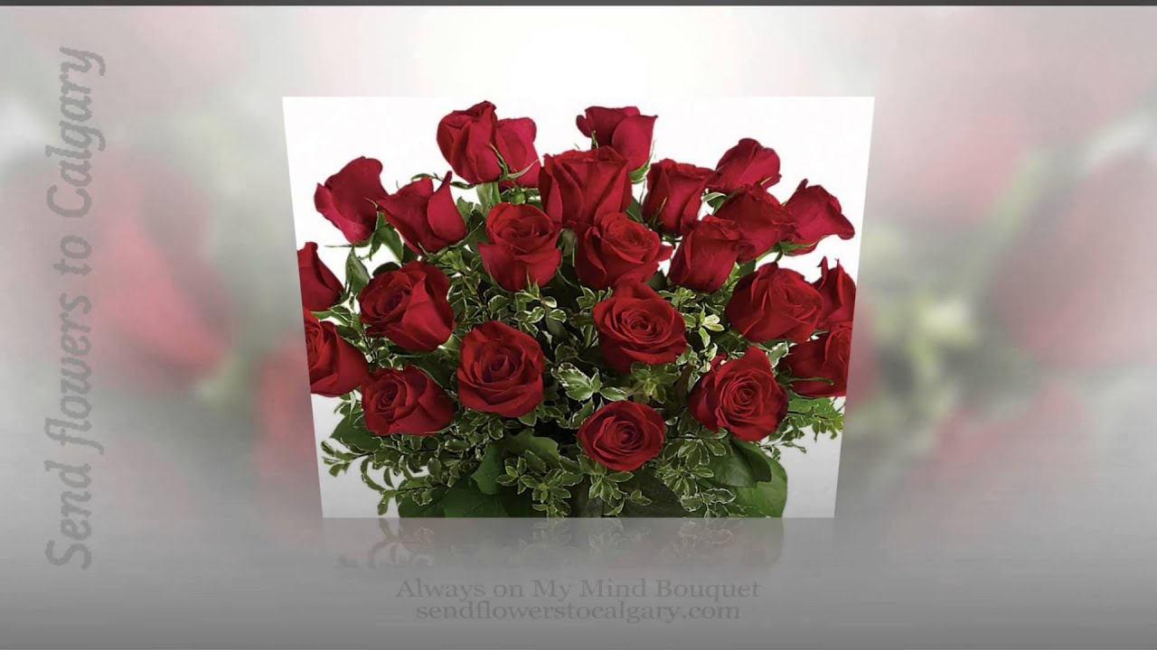 calgary flower shops nw