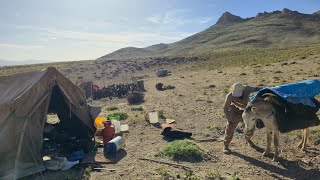 The Hidden Life of Iranian Nomads | Daily Migration & Nights in the Wild