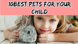 TOP 10 BEST PETS FOR KIDS/TOP 10 PETS TO BUY FOR YOUR CHILD |NIRU'S PET ZONE by Niru's Petzone 1,044 views 3 years ago 1 minute, 54 seconds