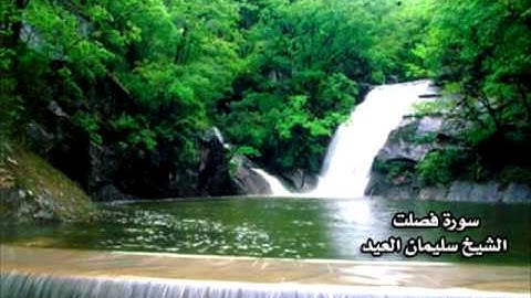 سورة فصلت الشيخ سليمان العيد تراويح 1432 هـ