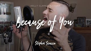 Because of You - Kelly Clarkson (cover by Stephen Scaccia) chords