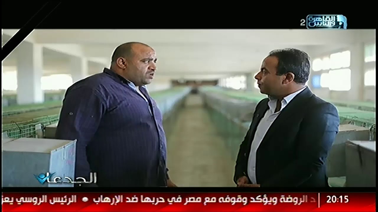 الجدعان | اكبر مزرعة لتربية الأرانب في مصر