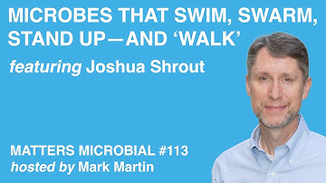 Matters Microbial #113: Microbes That Swim, Swarm, Stand Up—and ‘Walk’