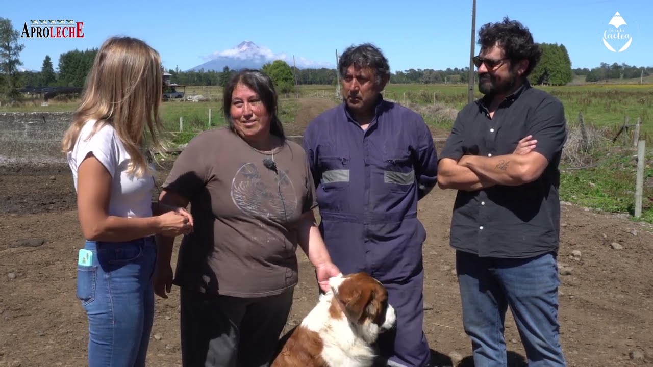 Del arte a la lechería