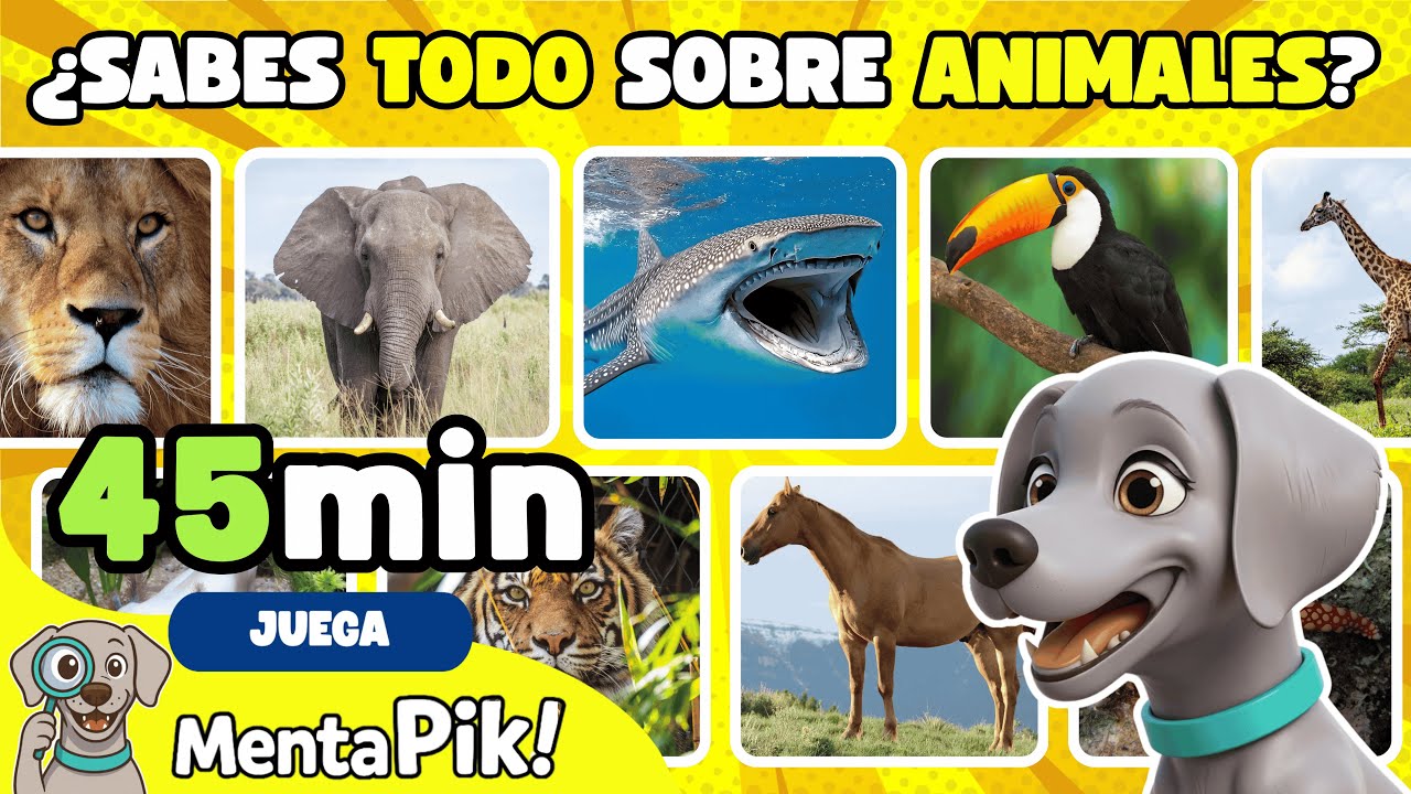 ¿Serás capaz de responder a tiempo? Animales para niños
