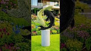 I Built a Giant Yin Yang Koi Fish Topiary in My Garden ☯️🐟🌿#YinYang #KoiFish #Topiary #GardenDesign