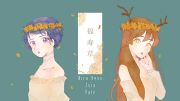 福寿草 Covered By Harutya Mp3