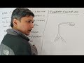 TAKE UP OF MINERALS | TRANSLOCATION OF MINERALS