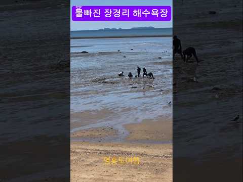 물빠진 영흥도 장경리해수욕장 갯벌체험