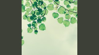 Vivacious Backdrops for Autumn Inspiration