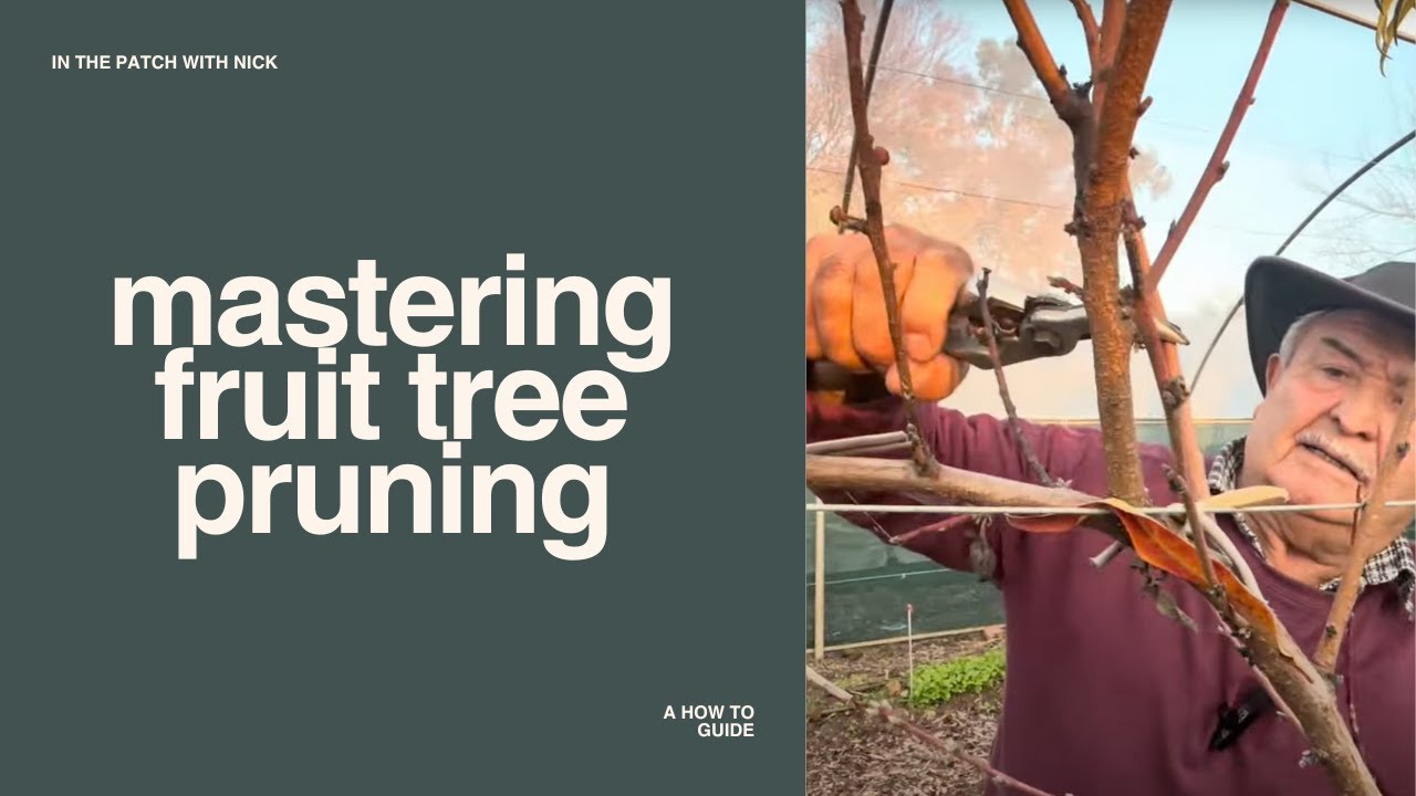 Mastering Fruit Tree Pruning - YouTube