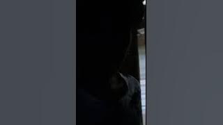 sopresa yowws sa baby naelle ko