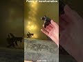 power of transformation#video #pitbull#lover