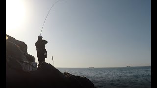 #9화_통영 매물도 (다시찾은 매물도....벵에돔,자리돔,복어,혹돔....)#fishing #낚시 #벵에돔 #