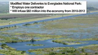 Restoring the Everglades