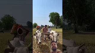 Es Baar To Le Gi Lunga#funny#friends #comedy #kishanbhai#harshpushptode#dhankikheti#dhan