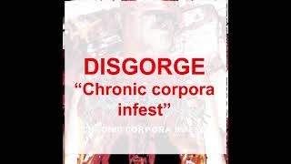 Watch Disgorge Pedophilamorphia Of Excreachollemical Endolapse video