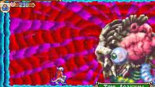 Castlevania HoD Dracula Wraith battle (no damage,no sub-weapons)