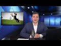 Your Dog is listening | DailyTodayDaily