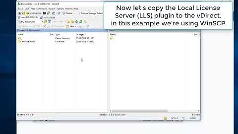 Alteon GEL Deployment and Demo