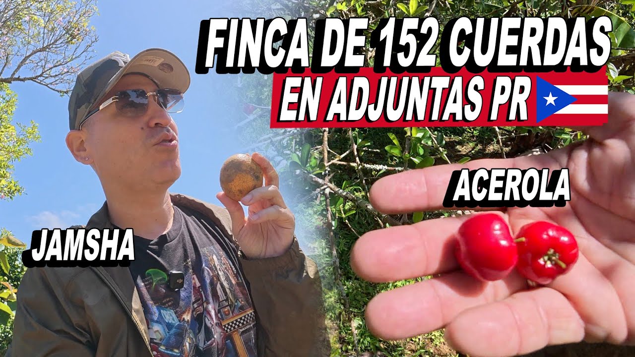 Finca De 152 Cuerdas En Adjuntas - Tour Con Jamsha y Miguel Berdiel 🇵🇷