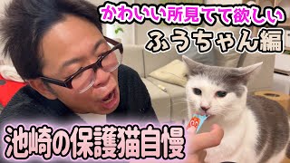 みんなのアイドルふうちゃんのかわいいところを見てて欲しいサンシャイン池崎の保護猫ライフ