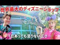アメリカのディズニーショップにはどんなグッズが売ってる??【ワールド・オブ・ディズニー】