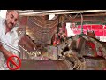 How to Repair leaf Springs| kamani | Hino Spring Fixing