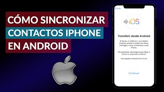 Cmo Pasar O Sincronizar Tus Contactos De Iphone En Android