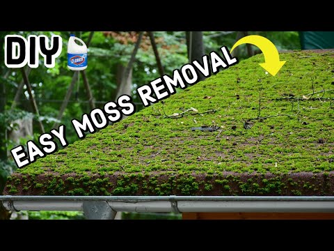 Remove Moss From Roof | DIY | 2 Methods