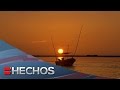 El otro México con Carolina Rocha - La pesca de pulpo en río lagartos