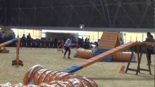 20130330 京都アジリティークラブ ジョリ AG2