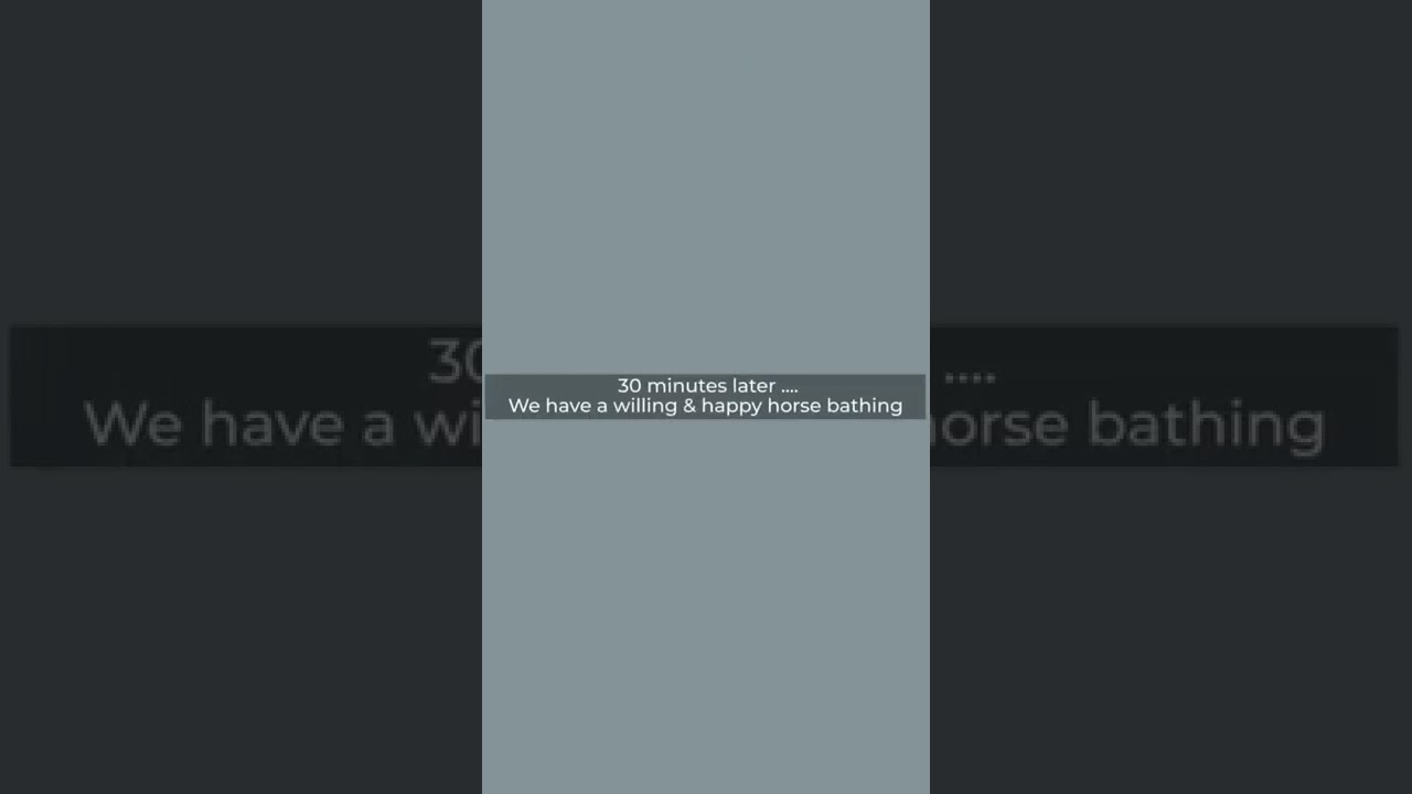 Equine bathing behavioral change with 30 min of curry comb techniques