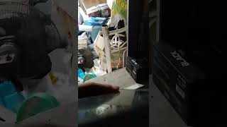 Trying My New Microphone