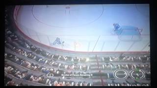Fluke own goal (EA Logic) on NHL 14