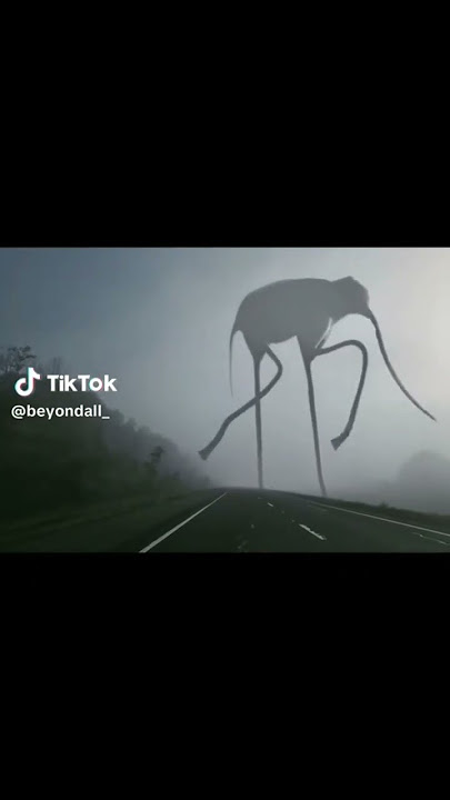 trevor Henderson of creatures it's monster#trevorhenderson #new #elephant