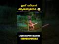 ഈ നായ ഒടിയൻ ആയിരുന്നോ lokah movie hidden details