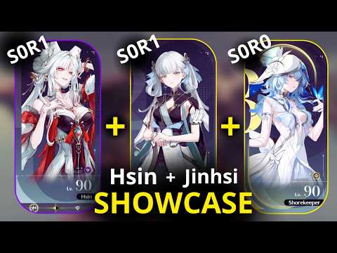 Does a Premium Unison Team Fix Hsin’s Damage in Wuthering Waves