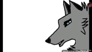 Wolf talk test run #1