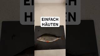 Barsch Einfach Häuten Barsche Zubereiten Teil 1