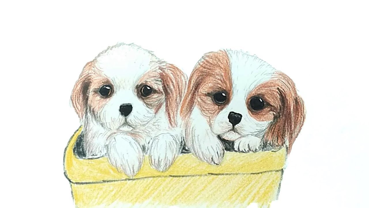 How To Draw Cute Dog Puppies Youtube